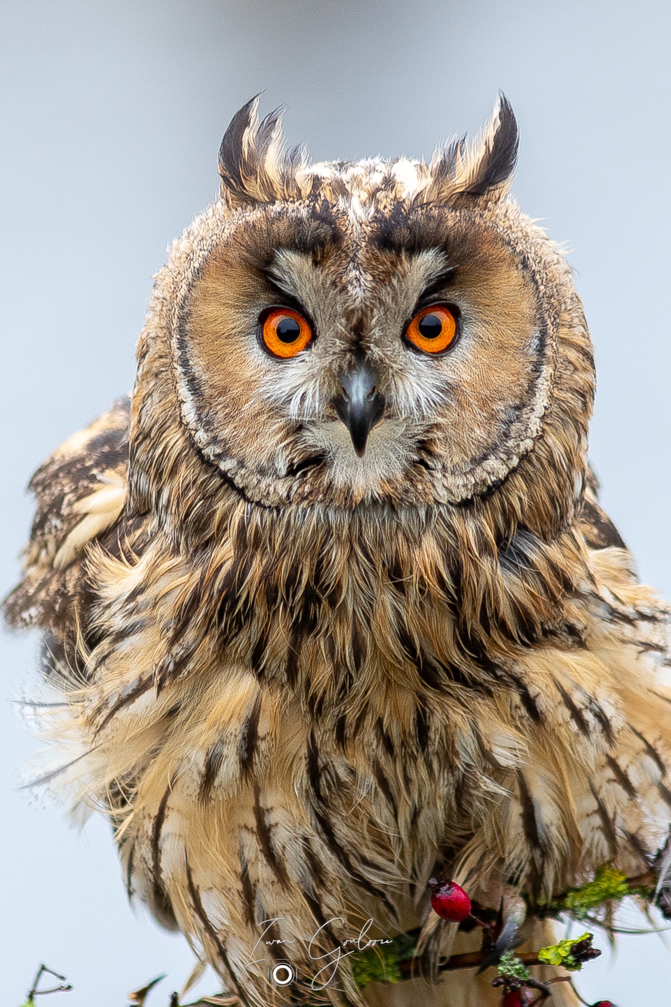 1DX46344 12 december 2021 1324 00